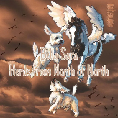 Bella Sara Herds from North of North FOILS  -  Please Read Description