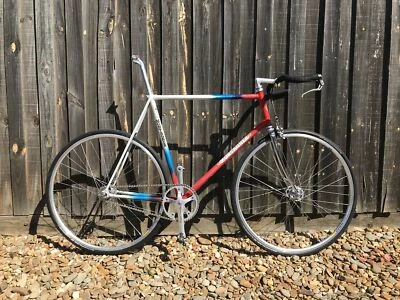 gumtree fixie bike