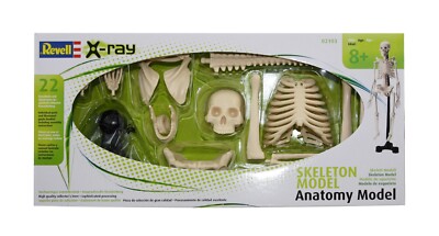 Revell X-ray Anatomy Model ''Skeleton model - Skelett-Modell''