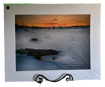 16 X 20 Limited Edition Print Signed & # 26/200 With COA by Sheldon Anderson