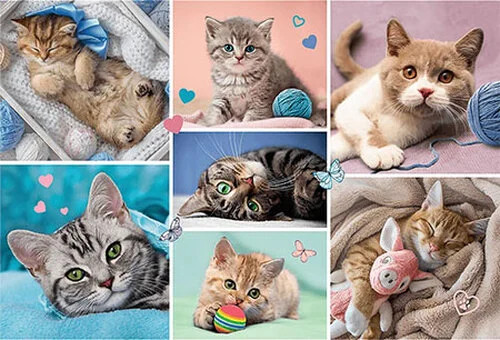 Puzzle (100 T.) Katzenwelt (Trefl Puzzle) Neu/Ovp-image