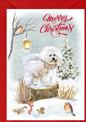 Bichon Frise Hund A6 (4''x 6'') Weihnachtskarte (innen leer) Design von Starprint