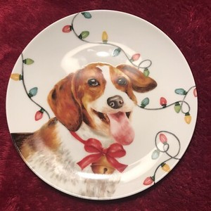 beagle dish