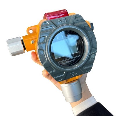 EX Flammable Gas Detectors Fixed EX Combustible Detector with Range 0-100%LEL