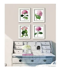 Botanical Art Reproduction Prints Unframed set of 4 Pink Hydrangea flowers Decor