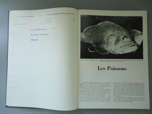 Encyclopédie du Monde Animal en 3 tomes - Librairie Aristide Quillet - 1971 - Picture 21 of 24