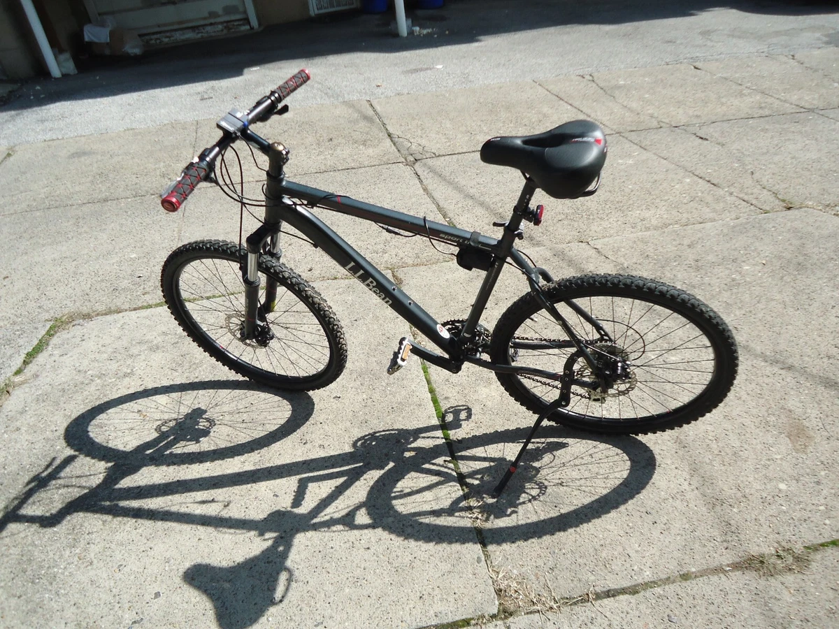 Ll bean on sale schwinn bike
