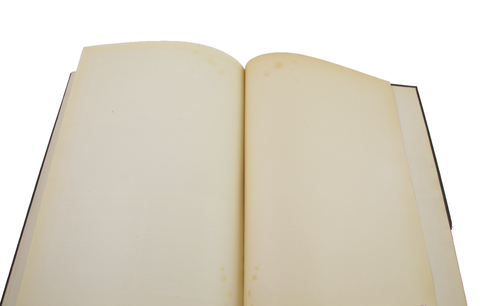 1923 National Geographic Society The Horses of The World Hardcover Book - Imagen 9 de 19