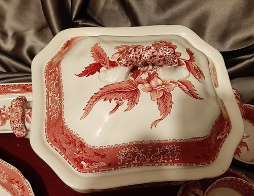 VINTAGE Zuppiera Inglese Spode camilla - Foto 3 di 10