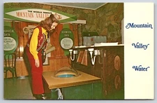 Mountain Valley Water Advertisement Hot Springs Arkansas Vintage Postcard 1970s