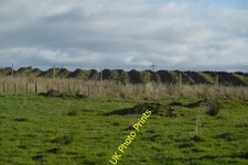 Photo 6x4 Newly planted woodland, Knockmade Moss Gabroc Hill In 2016 it b c2016