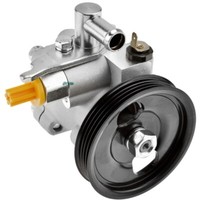 NTY Hydraulikpumpe Lenkung Servopumpe Passend FüR KIA Picanto SA 1.1
