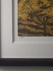 Picture 5 of 7