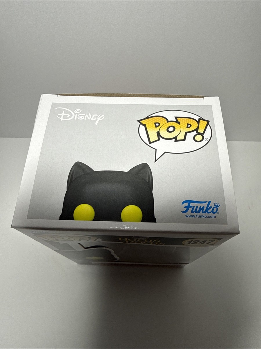 Funko Pop! Disney Hocus Pocus Thackery Binx 1247 Brand New! | eBay