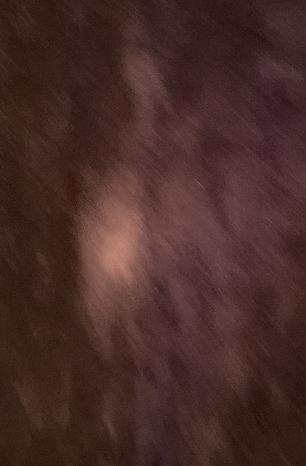 FILA Camicia embassy row sportswear bron pelle giacca leggera taglia 14