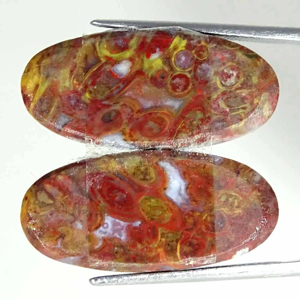 22.10Cts Natural Red Palm Root Agate Oval Pair Cabochon Loose Gemstone 12x25x4mm - Image 2 of 4