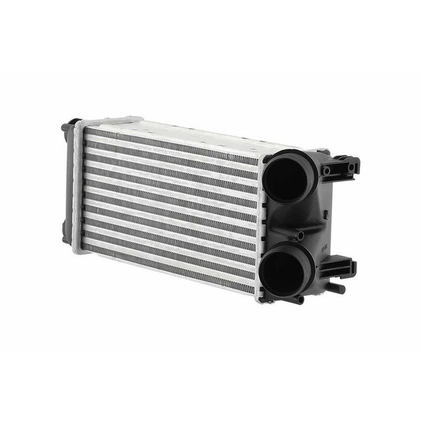 LadeluftküHler Rippen GelöTet Alu 300 Mm - 142 Mm Hella FüR U.A. CitroËN-image