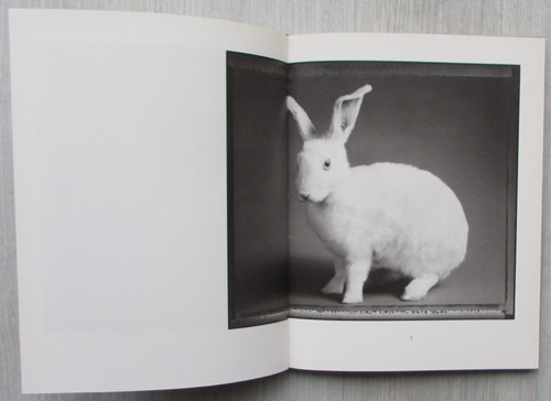 Animal - Bettina Rheims. Libro de fotografia de una excepcional fotógrafa. - Imagen 5 de 22