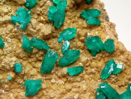DIOPTASE crystals on QUARTZ ! Rep. CONGO Pool Depart. Mindouli Area /pi287 - Picture 12 of 13