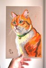Bild 4 von 6