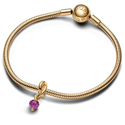 PANDORA SHINE Facettierter violetter Ewigkeitskreis Charm-Anhänger FEBRUAR 76346 - Bild 2 von 3