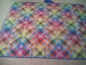 Cat  Lady Themed Vinyl Covered Picnic Blanket LARGE with Cats!!