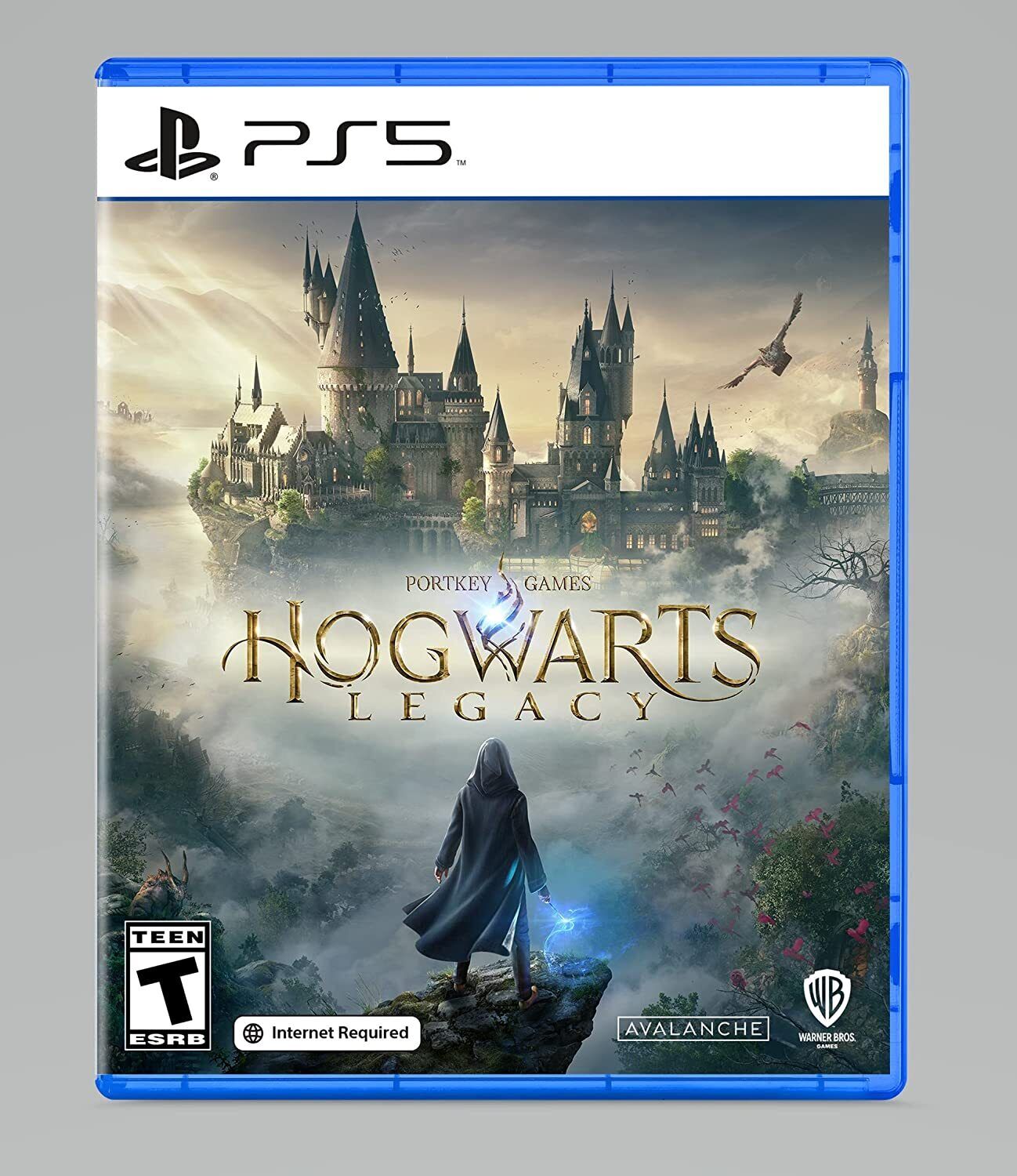 Hogwarts Legacy rimandato su PS4 e Xbox One, ecco le date di uscita di PC,  PS5, Xbox Series X