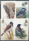XE59652 Belgium 1999 -2005 Buzin birds maxicards used