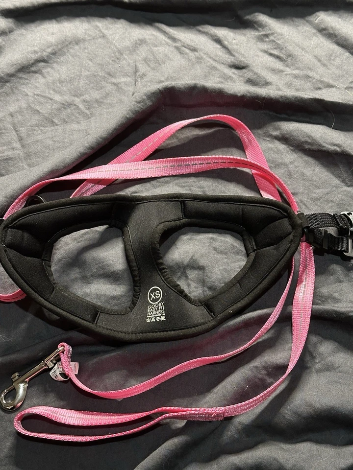 Small Dog Harness and Leash - Pink - Image 2 of 2