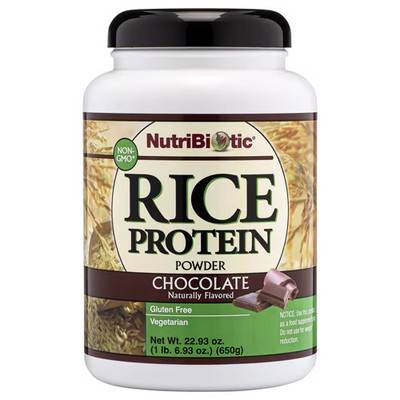 Worldwide 2 X NutriBiotic Raw Rice Protein Powder Chocolate -- 1.69 lbs