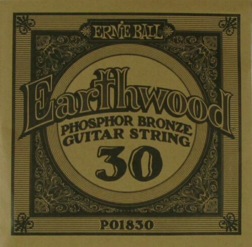 Corde Chitarra Elettrica Ernie Ball Regular Slinky 10-46 | Nickel Wound | Confezione Element Shield - Foto 13