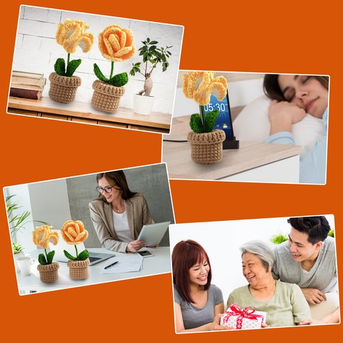 6Pc Crochet Potted Kit Potted Flowers Kit for Beginners DIY Potted Plants Craftଌ - Picture 4 of 21