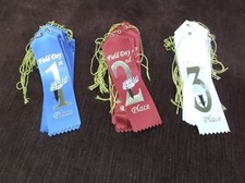 15 sets of 3 1st, 2nd, 3rd FIELD DAY red, white blue with card and string
