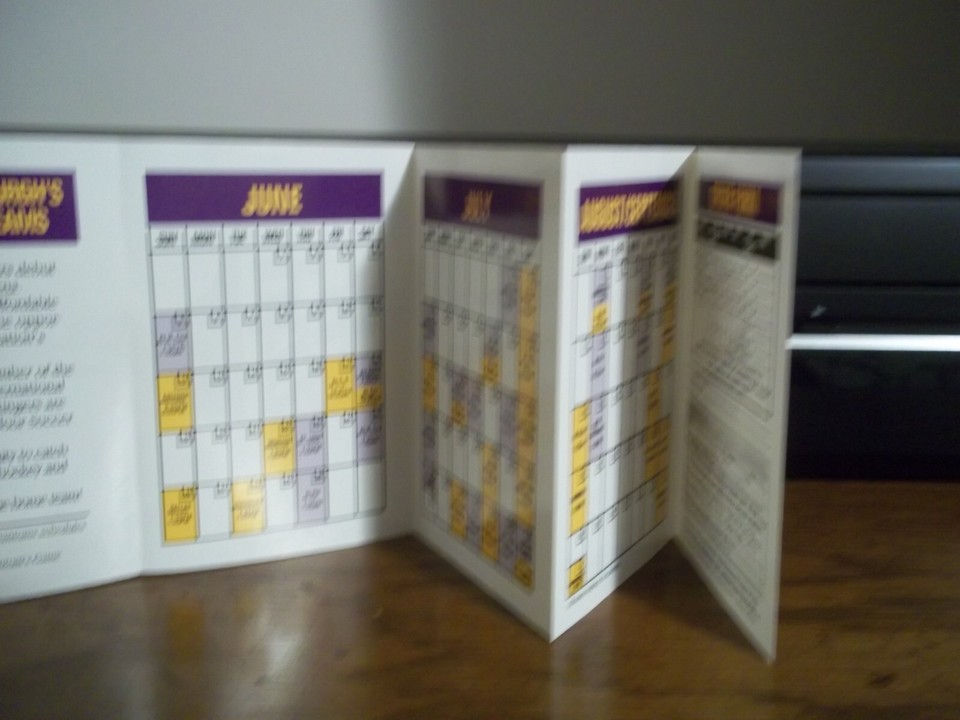 1994 Pittsburgh Stingers soccer and Phantoms roller hockey pocket