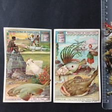 LIEBIG 2 Chromos Poissons De