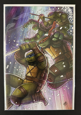 IDW Teenage Mutant Ninja Turtles #13 Blind Bag bundle. Includes 1:25 Variant.