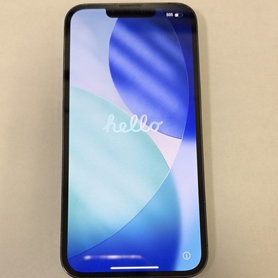 Apple iPhone 13 Pro Smartphone Black Bar Style iOS Wi-Fi Bluetooth