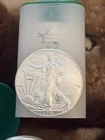 roll of 20 - 1 oz American Silver Eagle  Coins  Year 2019
