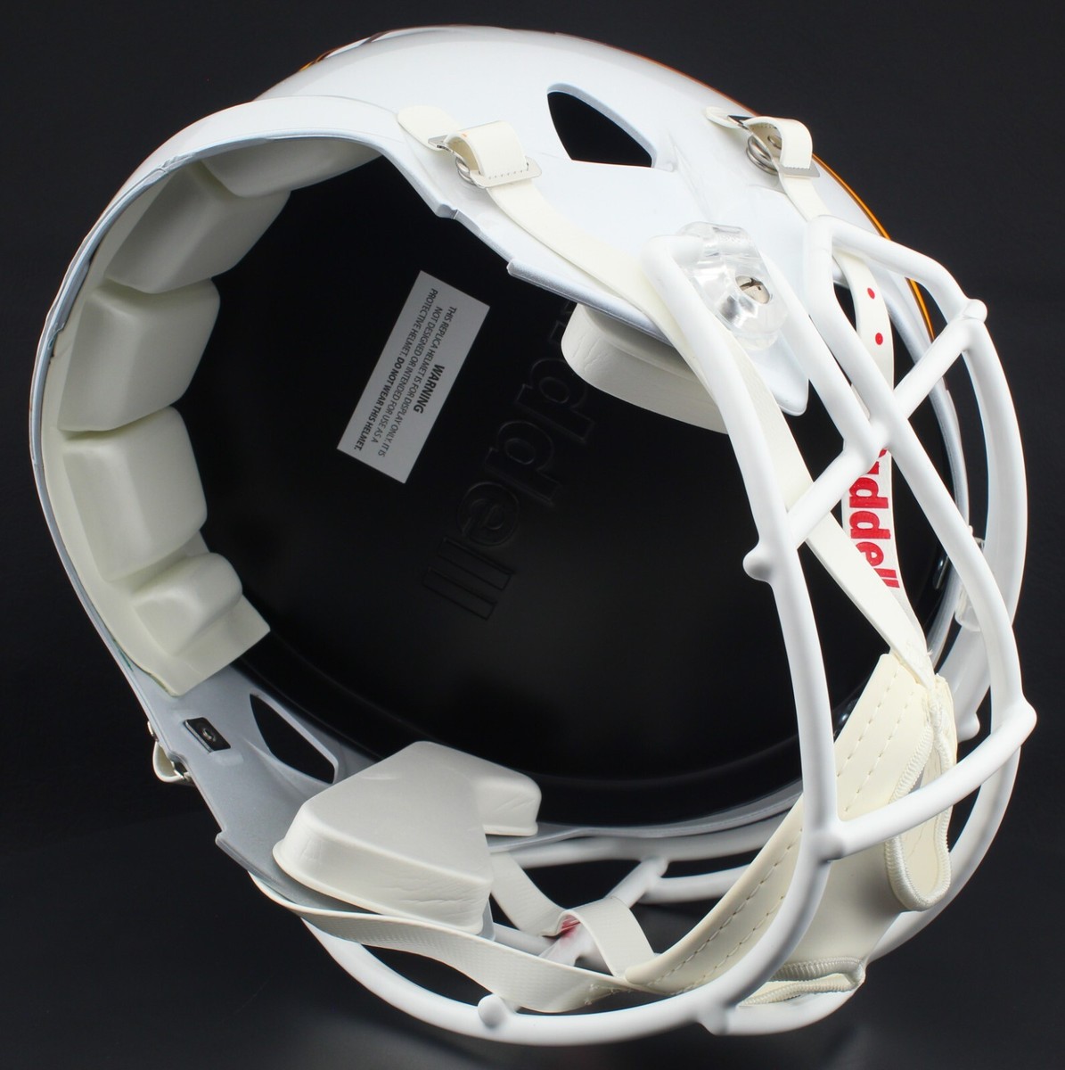 49ers replica football helmet San Francisco Mini with Custom Photo San Francisco 49ers Riddell Riddell