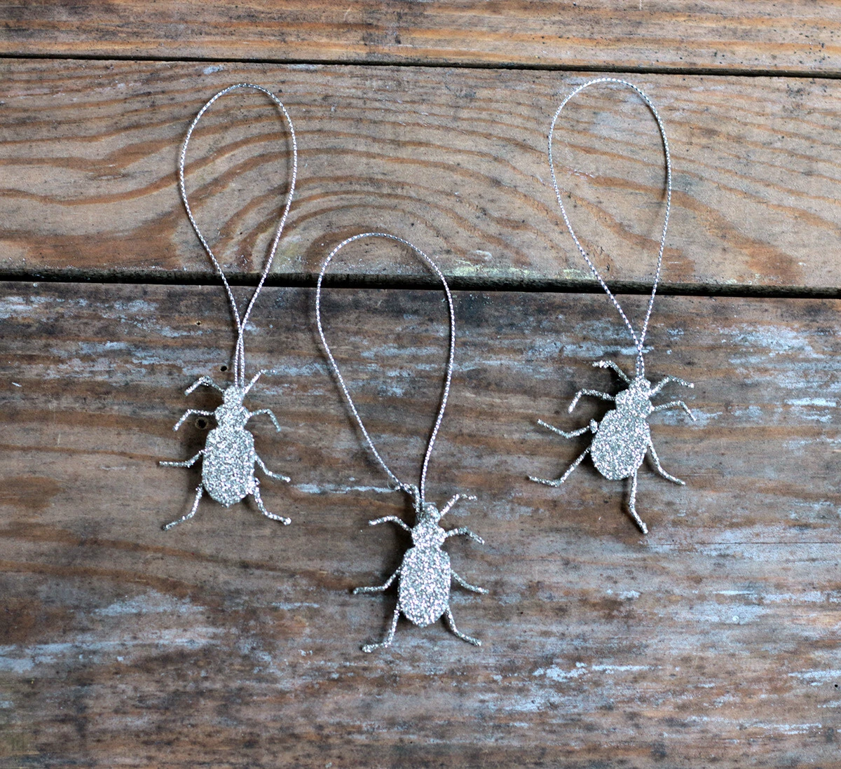 Cody Foster Insect Ornaments