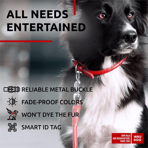 Ultraweiches gerolltes Leder Hundehalsband für kleine Hunde 13 16 Zoll Hals weich rot - Bild 4 von 5