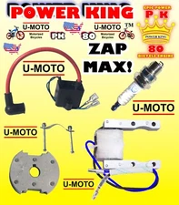 48cc/49cc/50cc/66cc/80cc 2-STROKE MOTORIZED BIKE ELECTRONIC PARTS FOR KITS