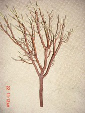 6 Beautiful Fresh-Cut, Trimmed Manzanita Branch Centerpieces 20" to 24"