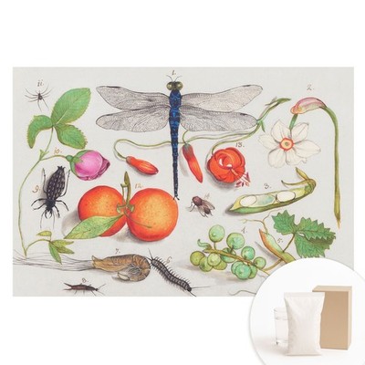 Non-Woven XXL Wallpaper 3D Effect Bedroom Botanical Collage With Insects