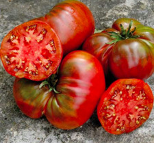20 Organic Black Sea Man Heirloom Tomato Seeds, FREE SHIPPING