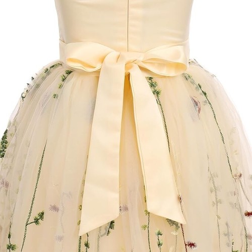 Amazon Girls Bridesmaids Dress Age 12 years Tutu Gown Lace Party Princess Lace - Picture 7 of 8