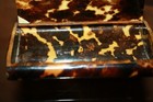 Foto 11 di 11