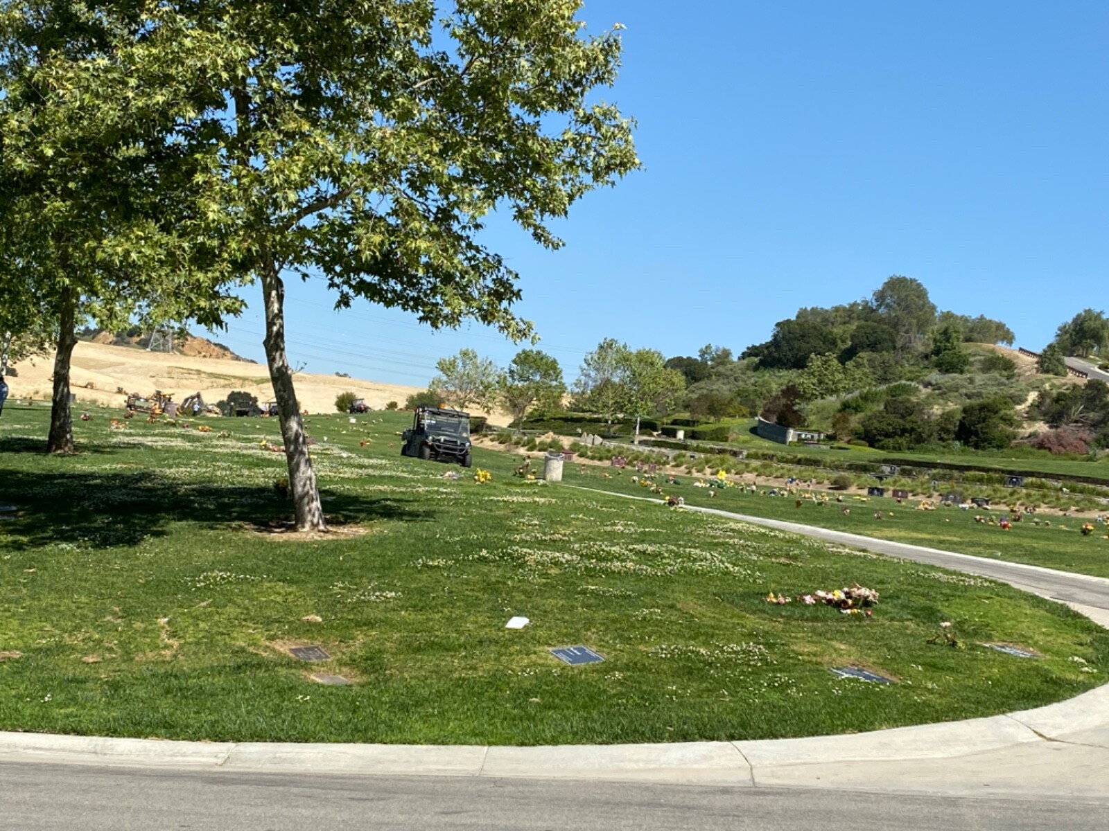 Rose Hills Cemetery Plots For Sale 11,000each eBay