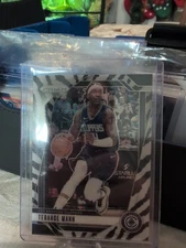 2024-2025 Prizm Zebra Terrance Mann