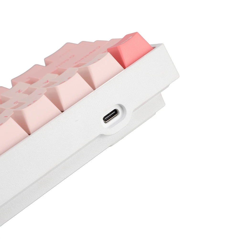 61-Key RGB Mechanical Keyboard with Blue Switches USB-C Wired for Gaming PC Mac